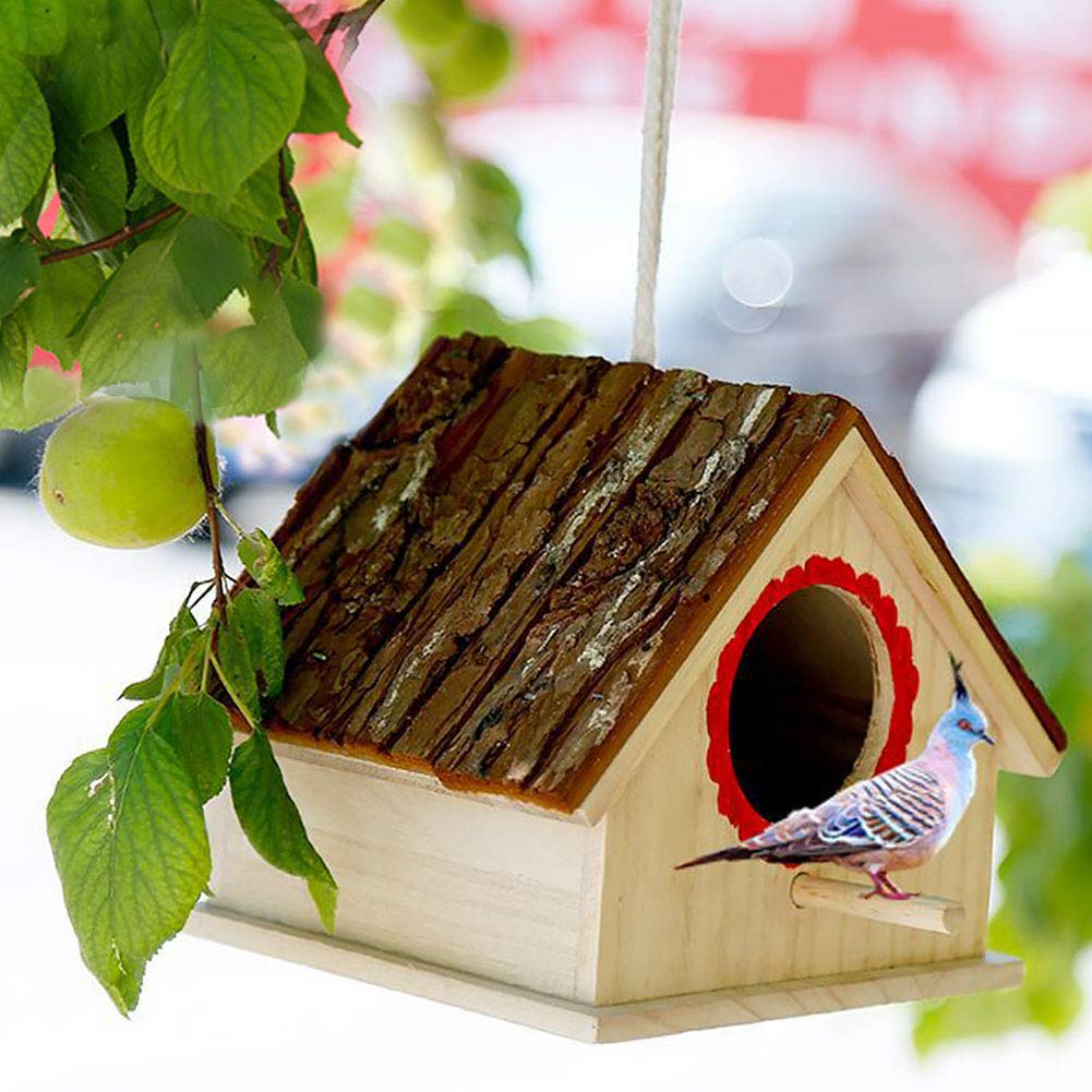 Bird Cage 1 Sai Birds Chennai