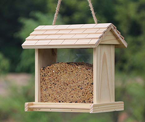 Small Bird Feeder - Sai Birds Chennai