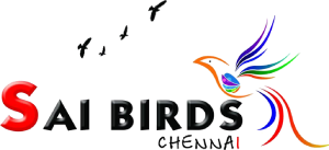 Sai Birds Chennai