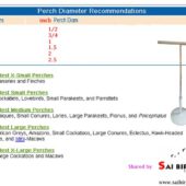 Perch size copy