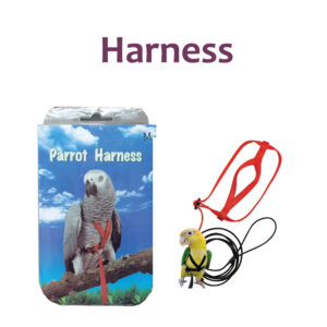Buy 100 Piece Plastic C-Clips Hooks Chain Links C-Links Rat Parrot Bird Toy  Cage Online at desertcartINDIA